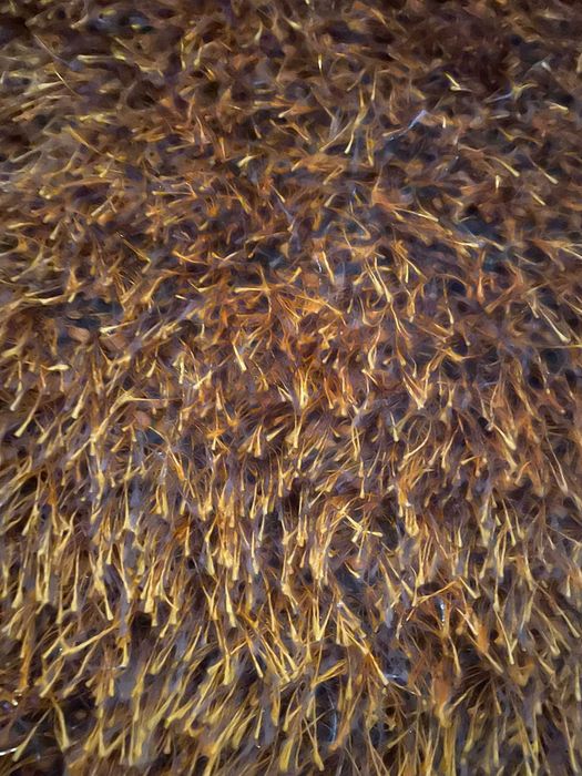 Vendo alcatifa de pêlo comprido