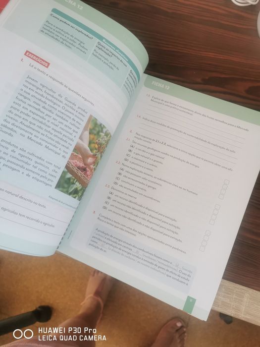 Cadernos de actividades 8 ano