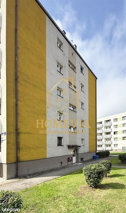 Zdjęcie 8