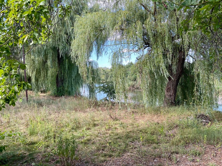 Продаж готового бізнесу | БАННИЙ КОМПЛЕКС | Підгородне