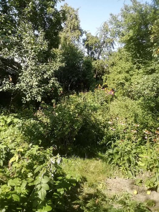 Продаж частини будинку у центрі м. Біла Церква