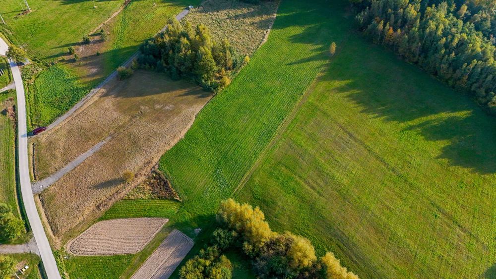 Działki budowlane – Mogilno, koło Nowego Sącza - Widok 2