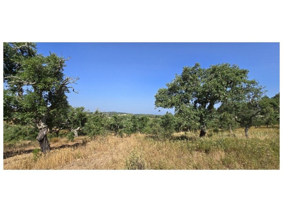 LOTEAMENTO (em projeto)