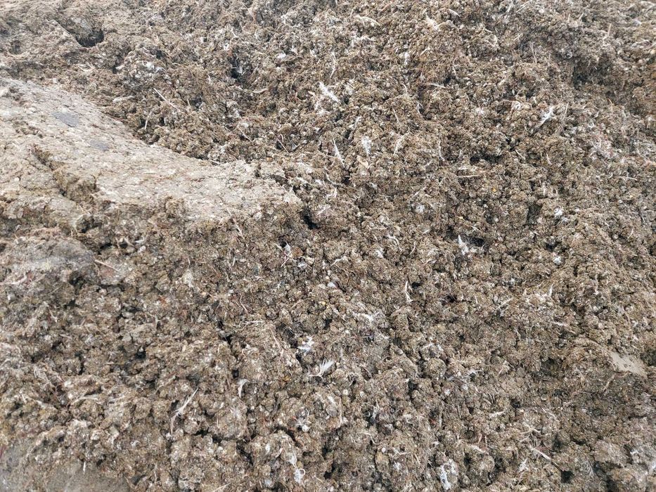 Pomiot kurzy obornik bobek bez słomyv