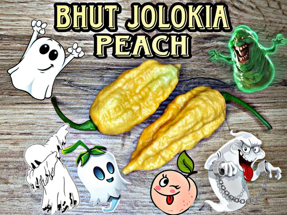 Семена самых острых перцев в мире-Carolina Reaper,Bhut Jolokia,Fatalii