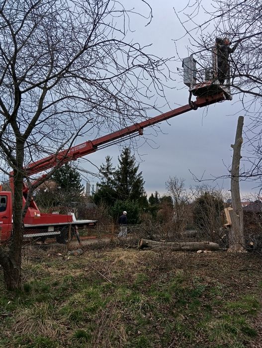 Wynajem podnośnika koszowego z operatorem 115zl/h