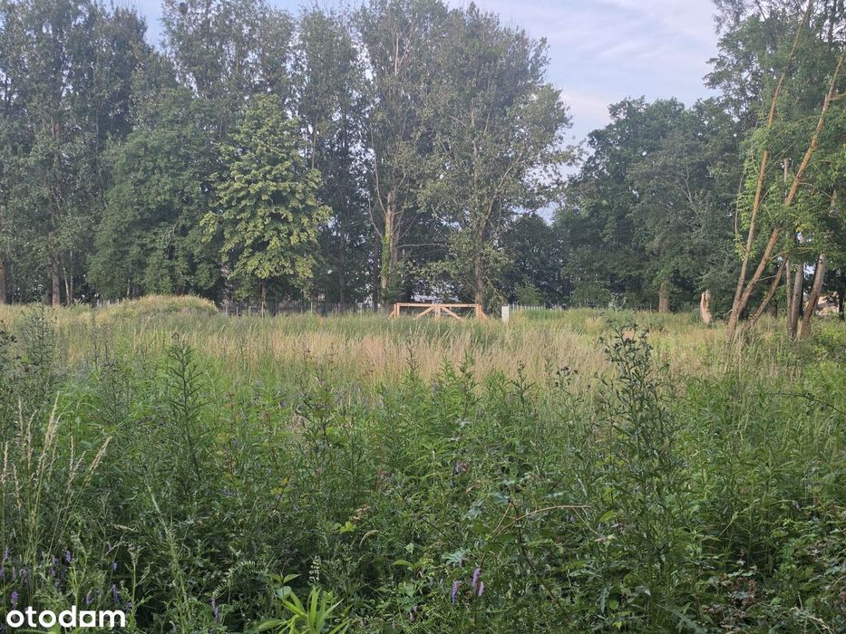 Okazja niższa cena do 31.07.2026 Działka 822 m² Wałcz Nowomiejska - Widok 3