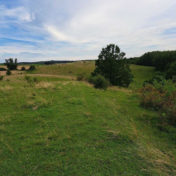 Ziemia rolna 31 ha, gmina Reszel, Warmia i Mazury