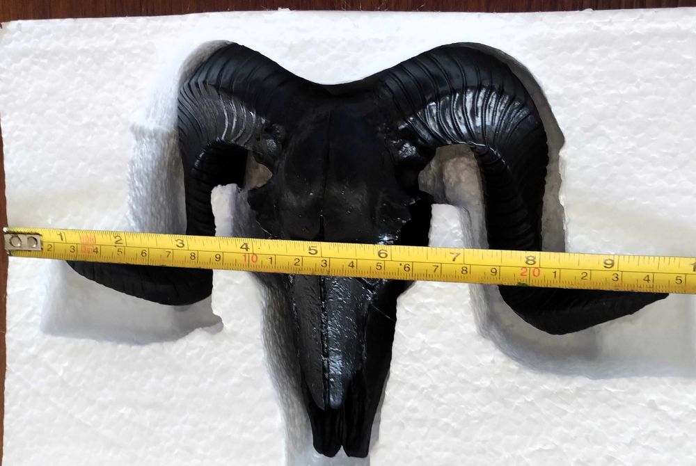 Caveira Cranio Carneiro Decorativo