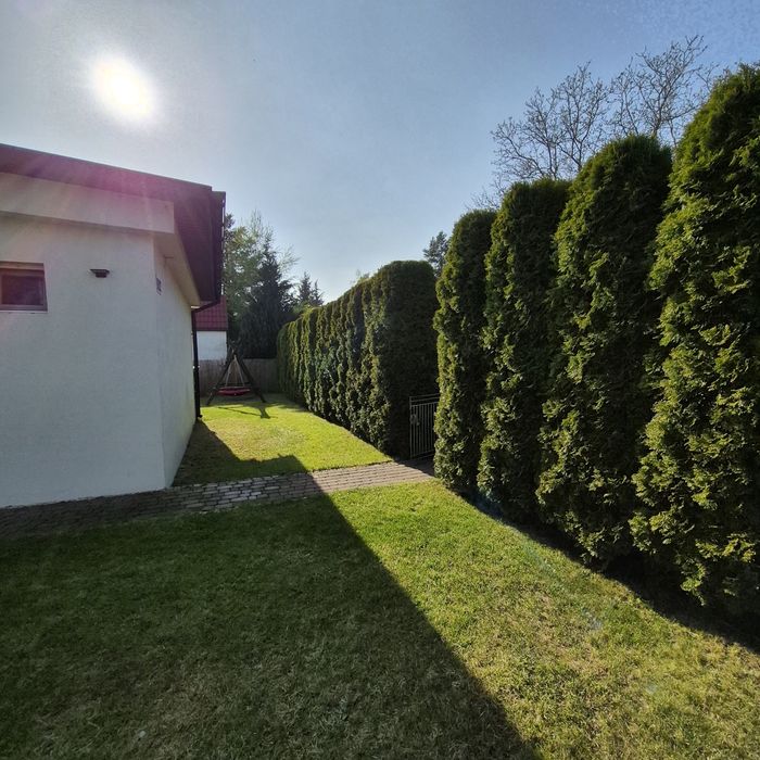 Działka rod  rumin