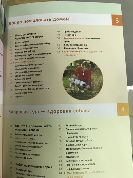 Моя собака