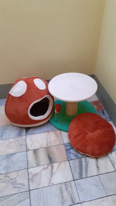 Arranhador gatos 3 em 1 com casota cogumelo Super Mario NOVO