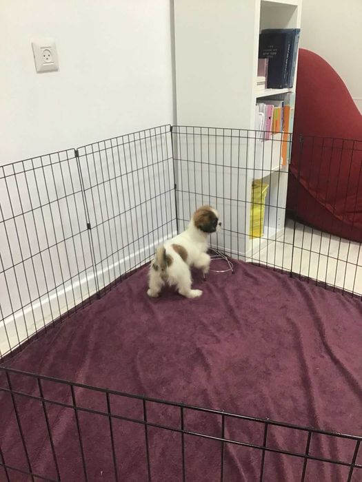 Манеж с дверкой клетка 180*60*76 клітка для собак щенков птиц 8 секций