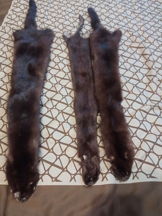 Продам хутро норки