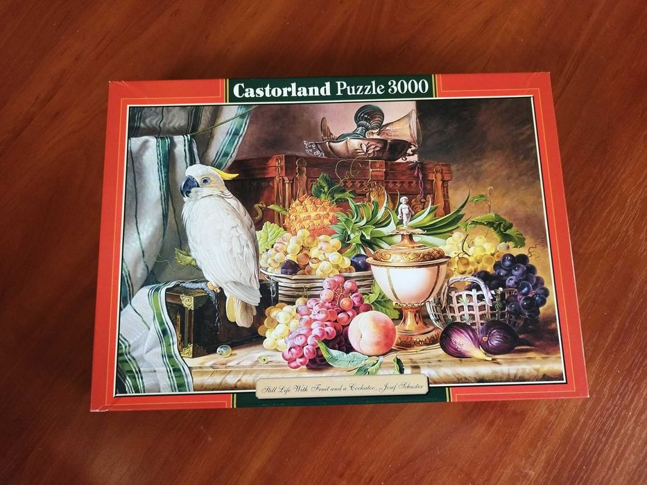 Puzzle Castorland 3000
