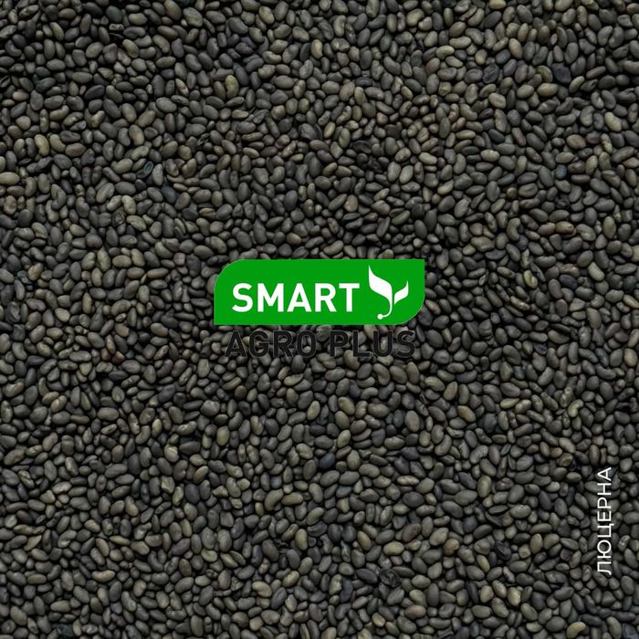 Люцерна сорт Вікторія (Італія)