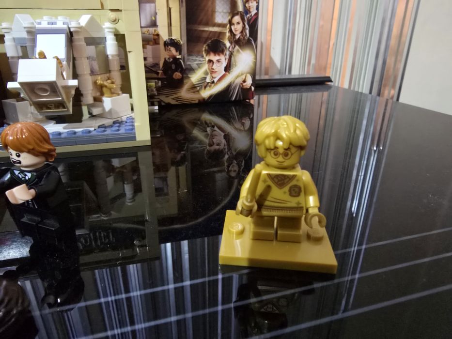 LEGO 76386, Erro de Poção Polissuco, Harry Potter