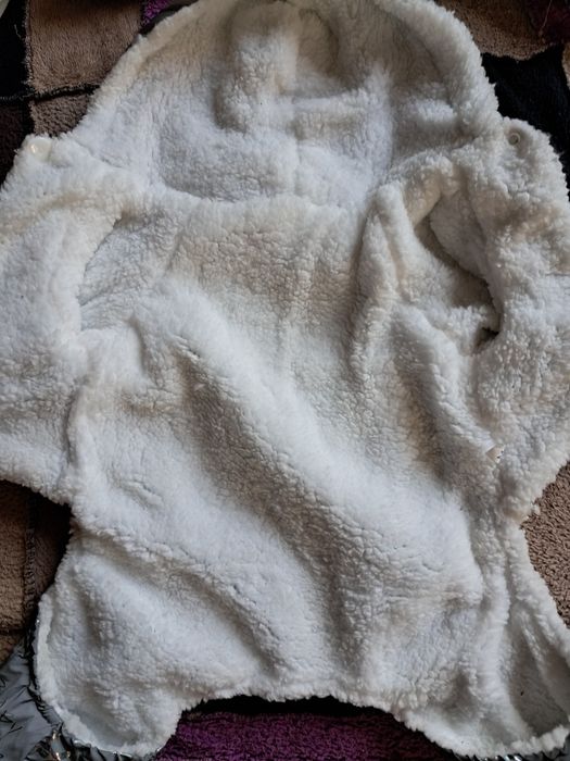 Одяг для собак та котів