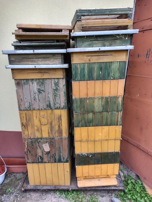 Ile korpusowe Dadant