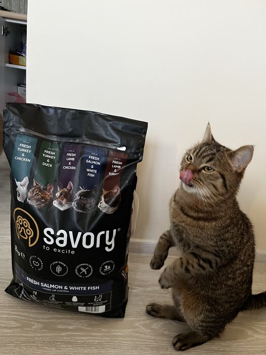 Корм Savory ВІДКРИТИЙ 7,7 кг + 10 упаковок вологого корму