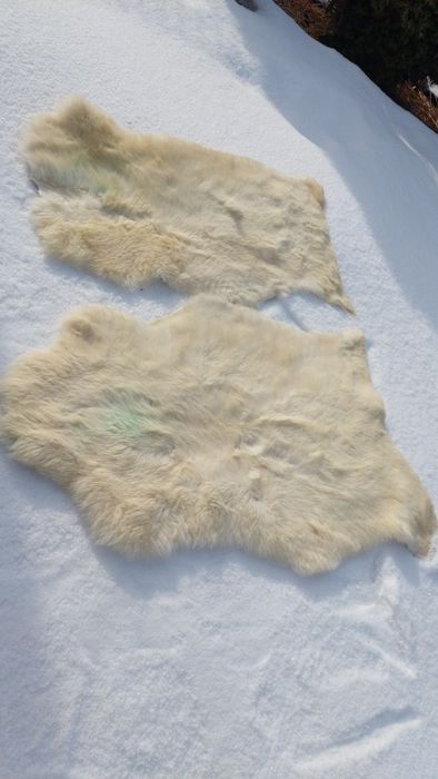 Naturalne skóry owcze w super cenie 2 sztuki