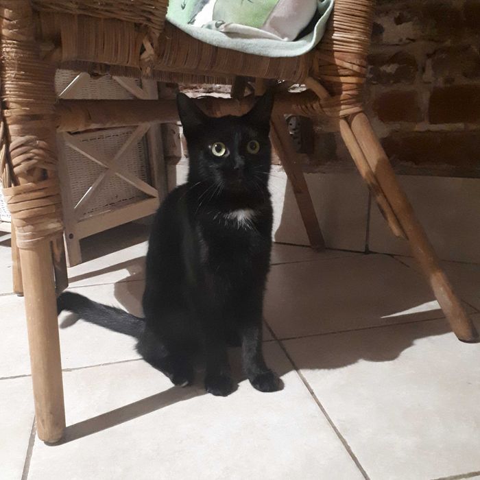 Florencja czeka na kochającą rodzinę Adopcja