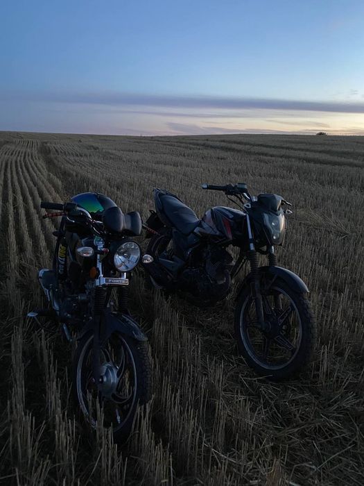 Продам мустанг регіон 150