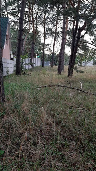 Солоницівка! Недобудова в  сосновому  лісі!