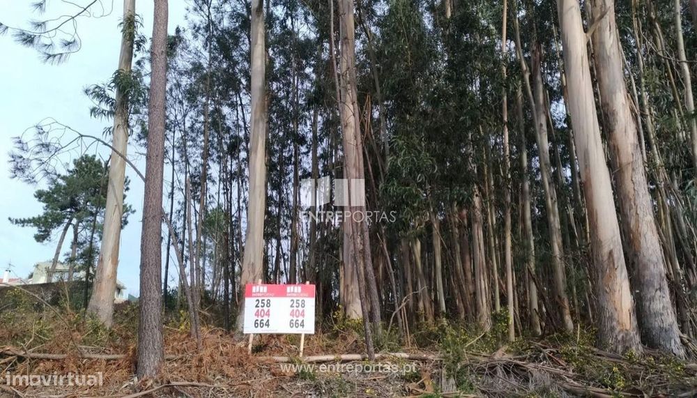 Venda de terreno com vistas rio, Seixas, Caminha