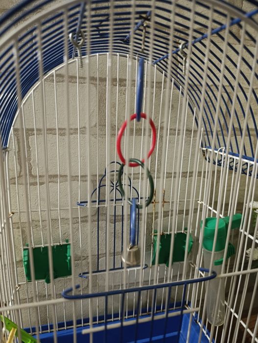 клетка для попугайчика