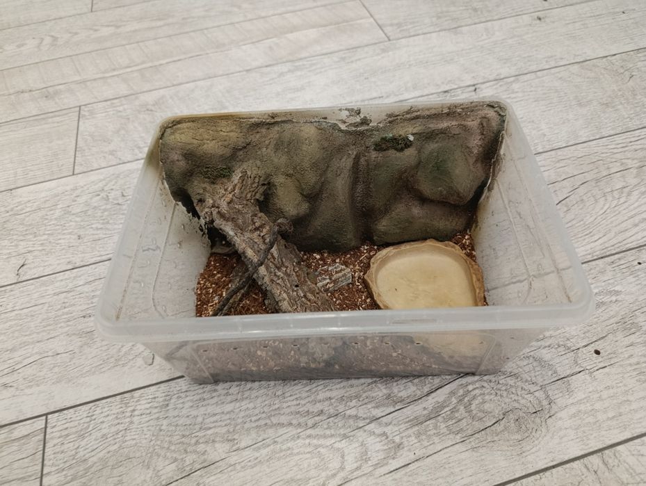 Terrarium Faunabox dla weża/gada