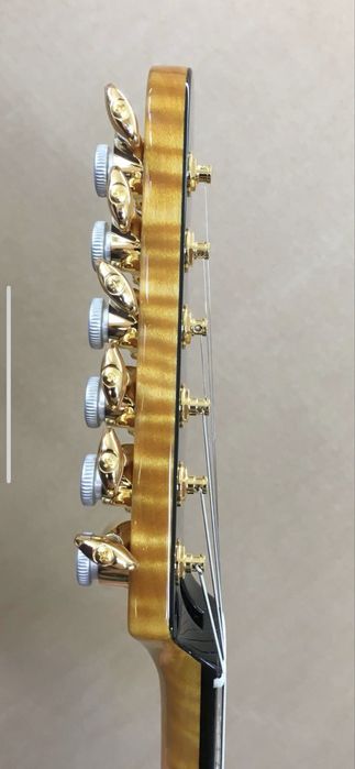 Witkowski Custom Guitars, Telecaster - Stratocaster