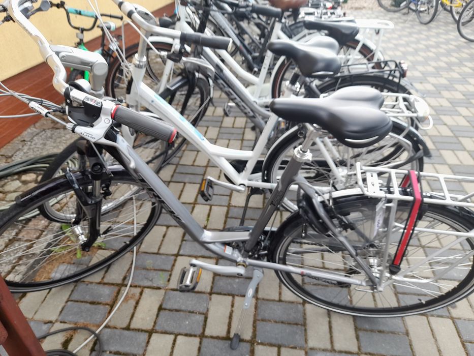 Rowery damskie, męskie, Gazelle, Batavus, Sparta, Sensa, Coga. Świdwin