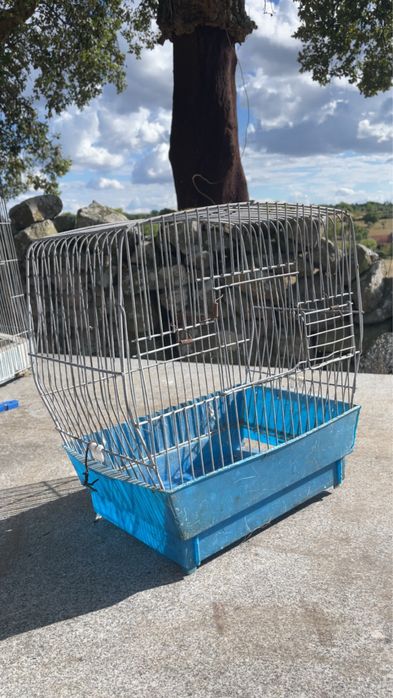 Gaiola para Aves