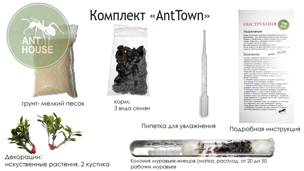 Муравьиная ферма (формикарий) вертикальная «AntTown» Комплект Космос