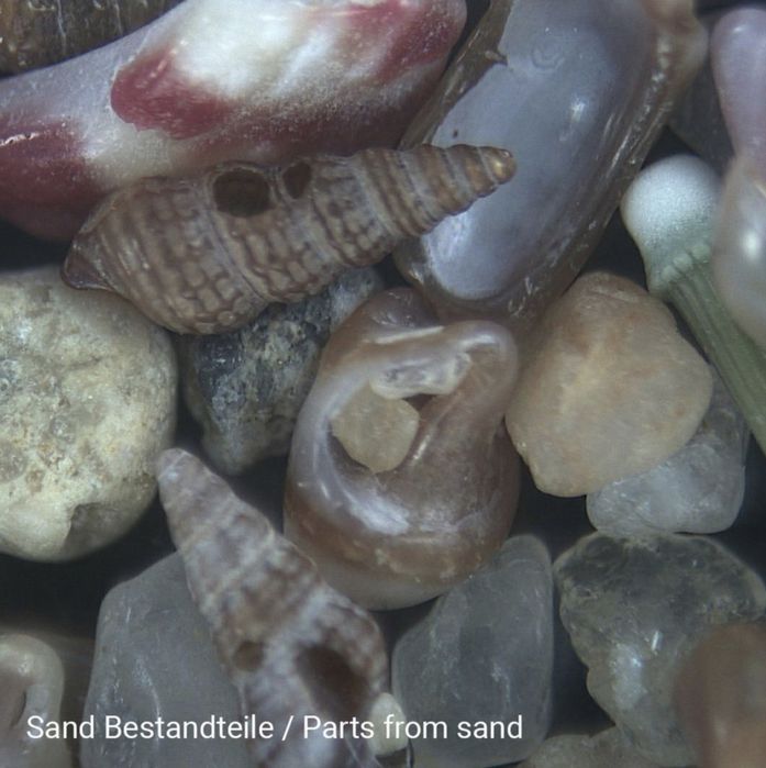 Новий стереомікроскоп Bresser Junior Stereo 20x