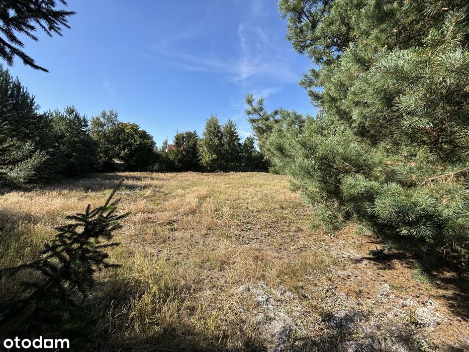 Działka 1577 m², Grabówiec k. Pułtuska - Widok 4