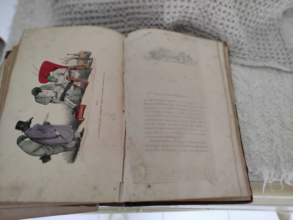 Les metamorphoses du jour com imagens ilustradas (1869)