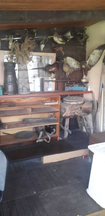 agroturystyka Jas i Malgosia