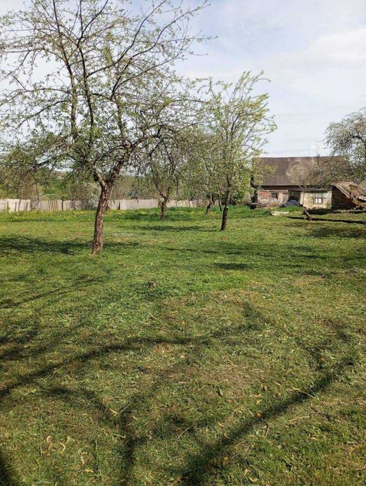 Продається ділянка для будівництва у Клузові
