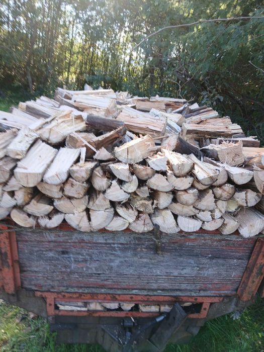 Vendo lenha com quiser