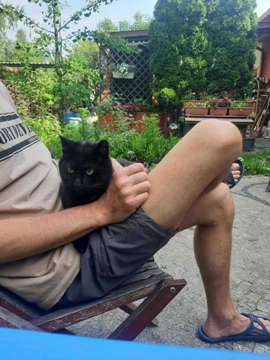 Moschino czeka na domek