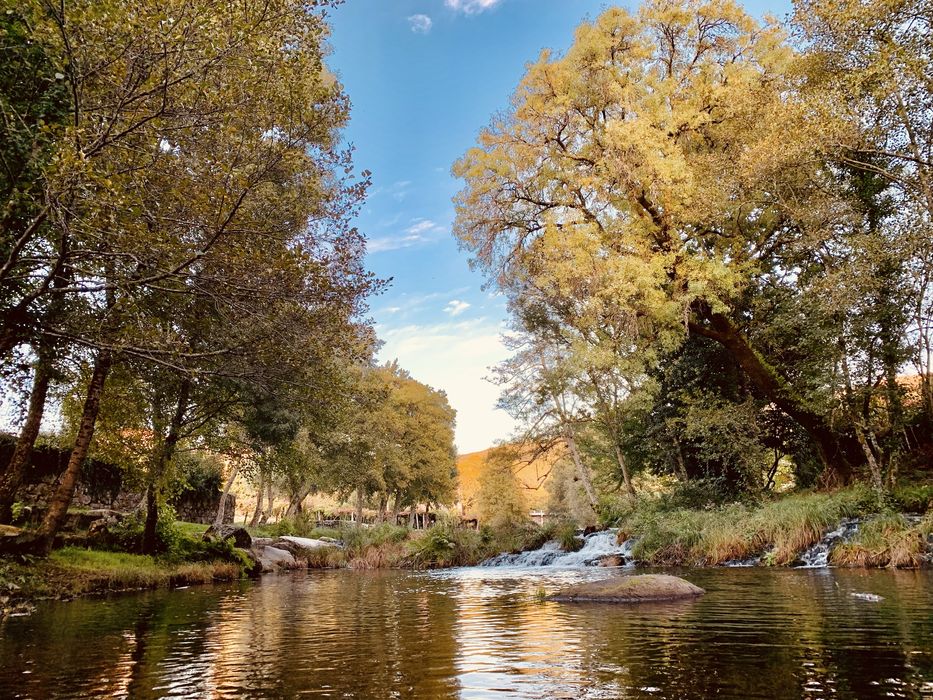 Quintinha no alto minho