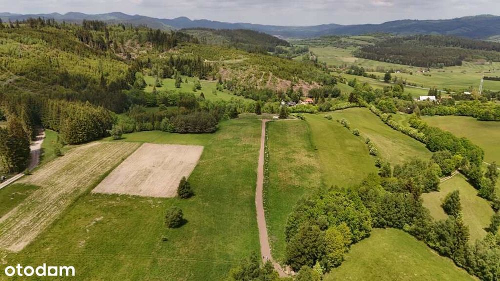 3 Działki W Bartnicy | 3009 M² Z Gotowymi Warunkami Zabudowy