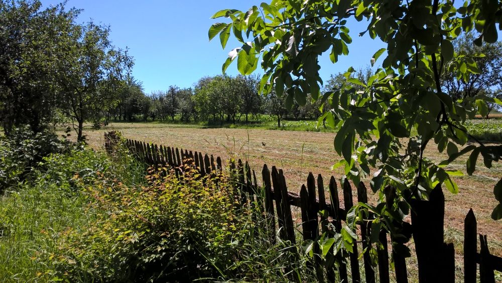 Продам будинок в с. Руданському