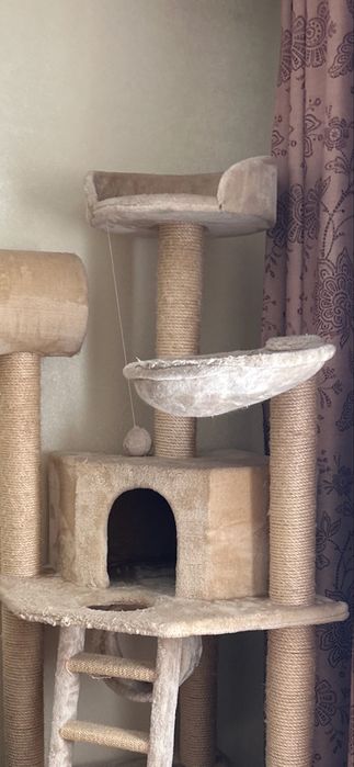 Когтеточка, домик для котов