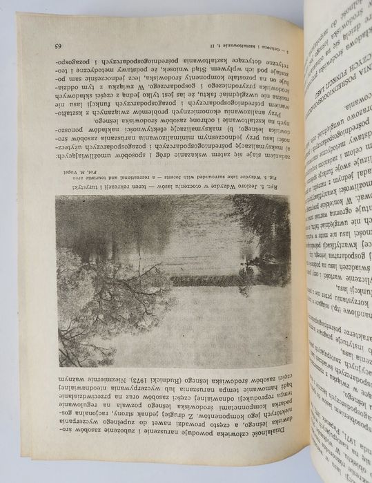 Ochrona i kształtowanie środowiska przyrodniczego - Książka