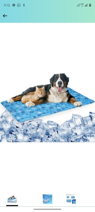 Nowa mata chłodząca dla psów