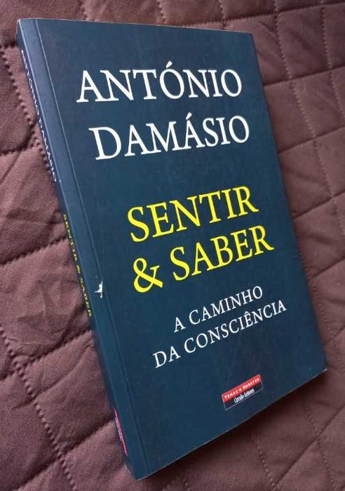 Sentir & Saber; A Caminho da Consciência - António Damásio