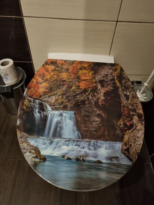 Toaleta muszla klozetowa WC deska